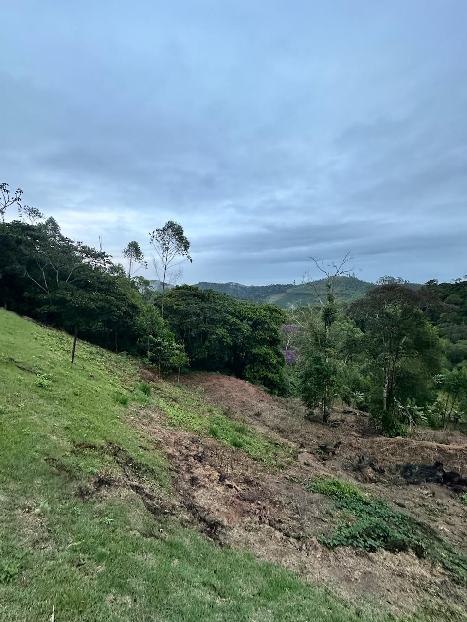 Imagem 3 da propriedade